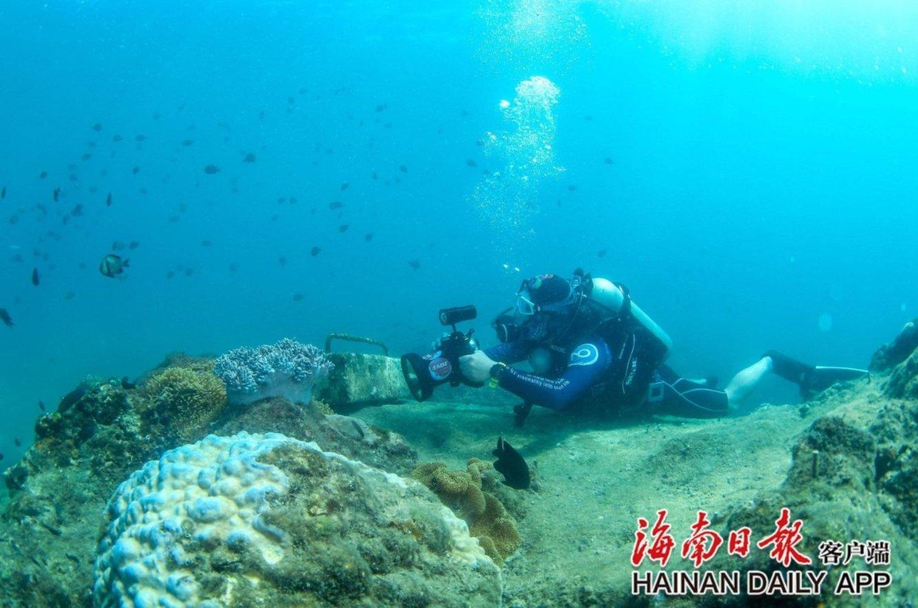 两少女出租屋内煤气中毒死亡，谁为“花之殇”担责？游戏画面