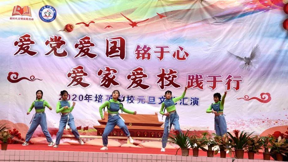 拯救小萌虎